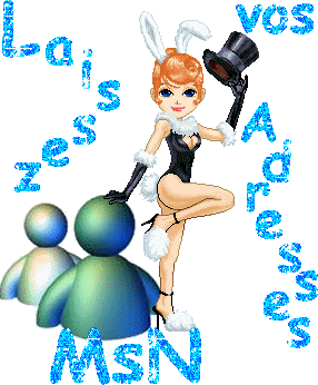 adresse msn